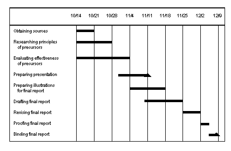 Sample research project plan